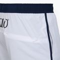 Pánske plavecké šortky Speedo Jetstream Retro Logo Volley 16" biele 4