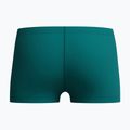 Detské plavecké boxerky Speedo Medley Logo Aquashort deep emerald/alfalfa green 2
