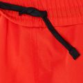 Pánske šortky Nike Logo Tape 4'' Volley červené NESSD794-620 4