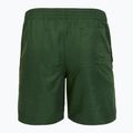 Pánske plavecké šortky Nike Swim Breaker 7" Volley fir 2