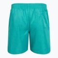 Pánske plavecké šortky Nike Swim Breaker 7" Volley dusty cactus 2