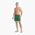 Pánske plavkové šortky Nike Essential 5" Volley malachite 2