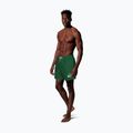 Pánske plavkové šortky Nike Lap Logo 5" Volley malachite 2