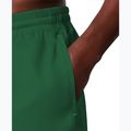 Pánske plavkové šortky Nike Lap Logo 5" Volley malachite 5