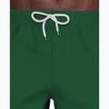 Pánske plavkové šortky Nike Lap Logo 5" Volley malachite 6