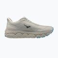 Pánske bežecké topánky Mizuno Wave Horizon 9 foggy dew/dark slate/blue jewel 2