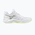 Dámske volejbalové topánky Mizuno Wave Momentum Pro white/aqua gray/ambrosia