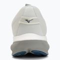 Pánske bežecké topánky Mizuno Wave Rider 30 foggy dew/dark slate/white 6