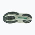 Dámske bežecké topánky Mizuno Wave Rider 30 balsam green/mentholated/white 2