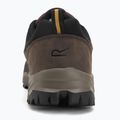 Pánske trekingové topánky REGATTA Blake Low peat/wood 6