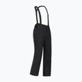 Pánske lyžiarske nohavice Dare 2b Achieve III Pant black 10