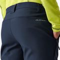 Pánske softshellové nohavice REGATTA Geo Softshell navy 6