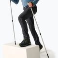 Pánske softshellové nohavice REGATTA Geo Softshell ash 3