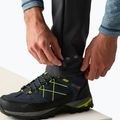 Pánske softshellové nohavice REGATTA Geo Softshell ash 6