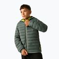Detská páperová bunda REGATTA Hooded Marizion dark forest green/wild lime 6