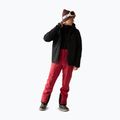 Pánska lyžiarska bunda Dare2B Eagle IV Jacket black 2