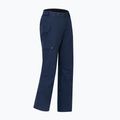 Pánske lyžiarske nohavice Dare 2b Baseplate Insulated Pant navy 11
