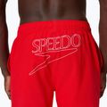 Pánske plavecké šortky Speedo Classic Logo Volley 16" high risk red 6