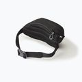 Ľadvinka Gregory Nano Waistpack obsidian black 10