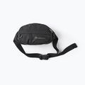 Ľadvinka Gregory Nano Waistpack obsidian black 11