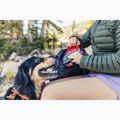 Turistický batoh Gregory Nano 30 l bright navy 7