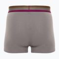Pánske boxerky CR7 Basic Trunk 3 páry 704 multicolour 5
