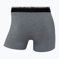 Pánske boxerky CR7 Basic Trunk 10 ks multicolur 11