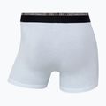 Pánske boxerky CR7 Basic Trunk 10 ks multicolur 13