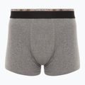 Pánske boxerky CR7 Basic Trunk 10 ks multicolur 3