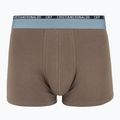 Pánske boxerky CR7 Basic Trunk 5 ks 2412 multicolur 5