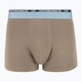 Pánske boxerky CR7 Basic Trunk 5 ks 2412 multicolur 6