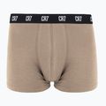 Pánske boxerky CR7 Basic Trunk 5 ks 2414 multicolur 5