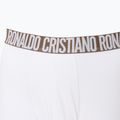 Pánske boxerky CR7 Basic Trunk 3 ks 2764 multicolour 5