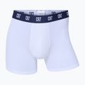 Pánske boxerky CR7 Basic Trunk 5 ks 2336 multicolur 6