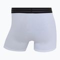 Pánske boxerky CR7 Basic Trunk 7 by 2815 multicolor 8