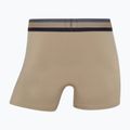 Pánske boxerky CR7 Fashion Trunk 5 pairs multicolour 8