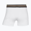 Pánske boxerky CR7 Fashion Trunk 5 pairs multicolour 10