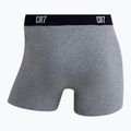 Pánske boxerky CR7 Basic Trunk 7 by 2820 multicolor 14