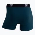 Pánske boxerky CR7 Basic Trunk 7 pairs 2821 multicolor 4