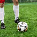 Futbalová lopta SELECT League football v24 white/black veľkosť 5 2