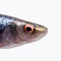 SavageGear LB 4D Herring Shad gumová nástraha Firetiger 63666 2