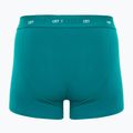 Pánske boxerky CR7 Bamboo Trunk FSC 3 páry multicolor 5