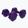 Meteor bitúmenové činky 2 x 2 kg fialové 30166