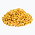 Carp Target Vanilla fishing corn 0056 2