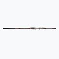 DRAGON Fishing Express Spinn 25 prívlačový prút