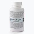 Alpha GPC 7Nutrition pamäť a koncentrácia 60 kapsúl 7Nu000436 2