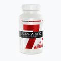 Alpha GPC 7Nutrition pamäť a koncentrácia 60 kapsúl 7Nu000436