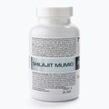 Shilajit Mumio 7Nutrition imunitný systém 400mg 120 kapsúl 7Nu000456 2