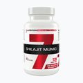 Shilajit Mumio 7Nutrition imunitný systém 400mg 120 kapsúl 7Nu000456