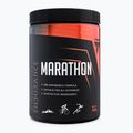 Trec Endu Marathon 400g malina-mäta pred tréningom TRE/915